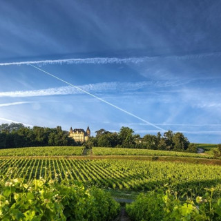 Visite "Découverte de Rayne Vigneau"