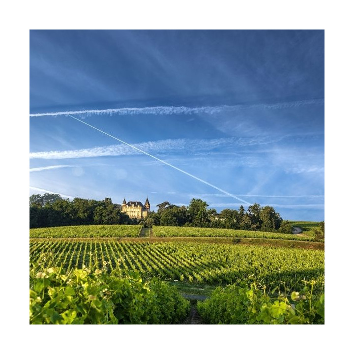 Visite "Découverte de Rayne Vigneau"