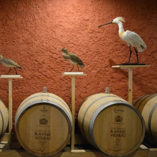 Visite "Les secrets de Rayne Vigneau"