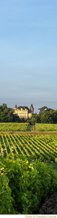 Evénements organisés au Château de Rayne Vigneau