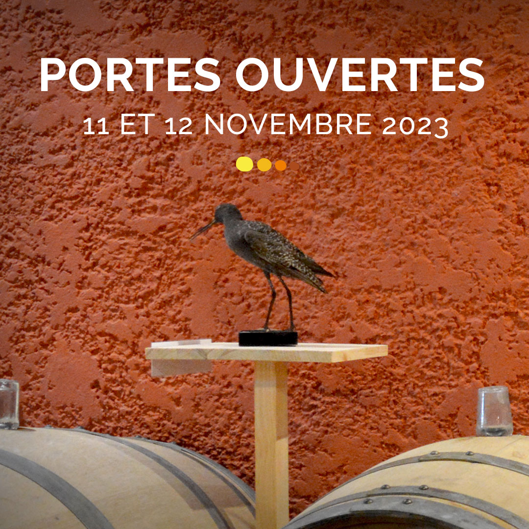 Portes ouvertes « Automnales » les 11 & 12 Novembre 2023