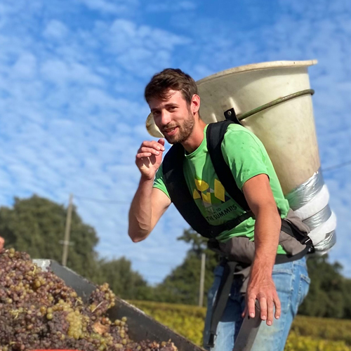 Le millésime 2021 sera grand, très grand !