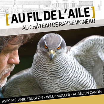 Au fil de l'aile